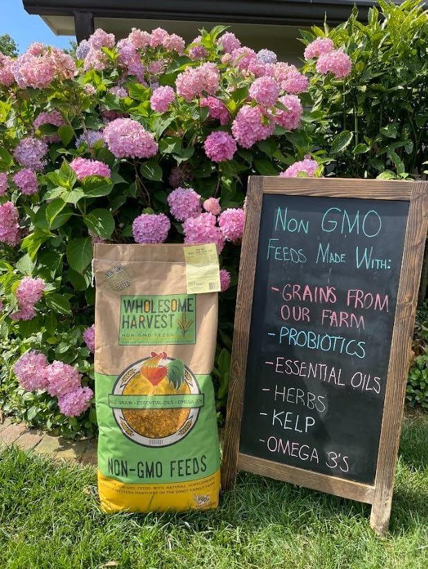 Non-GMO Whole Grain Layer Blend 16% - Chicken Feed for Laying Hens and Ducks - Includes Essential Oils, Herbs, Oyster Shells, Vital Minerals, and Omega 3, 40lb