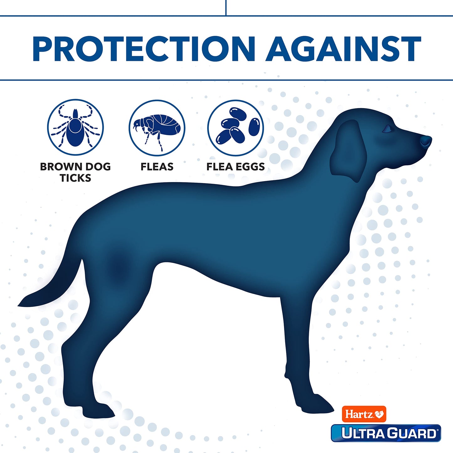 Vetnique Dermabliss Anti Itch Spray for Dogs & Cats with Hydrocortisone for Allergies and Immediate Dog Itching Skin Relief - Fragrance Free with Soothing Oat Extract (4oz)