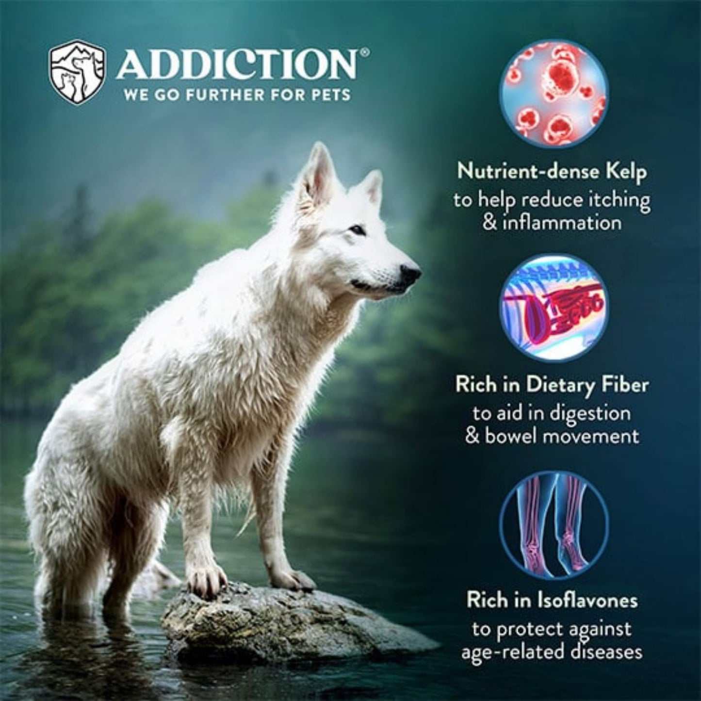 Addiction Zen Vegetarian Dry Dog Food - Plant-Based Protein for Dogs with Meat Allergies & Sensitive Skin - Vegetarian Dog Food for All Life Stages - Made in New Zealand 20lb