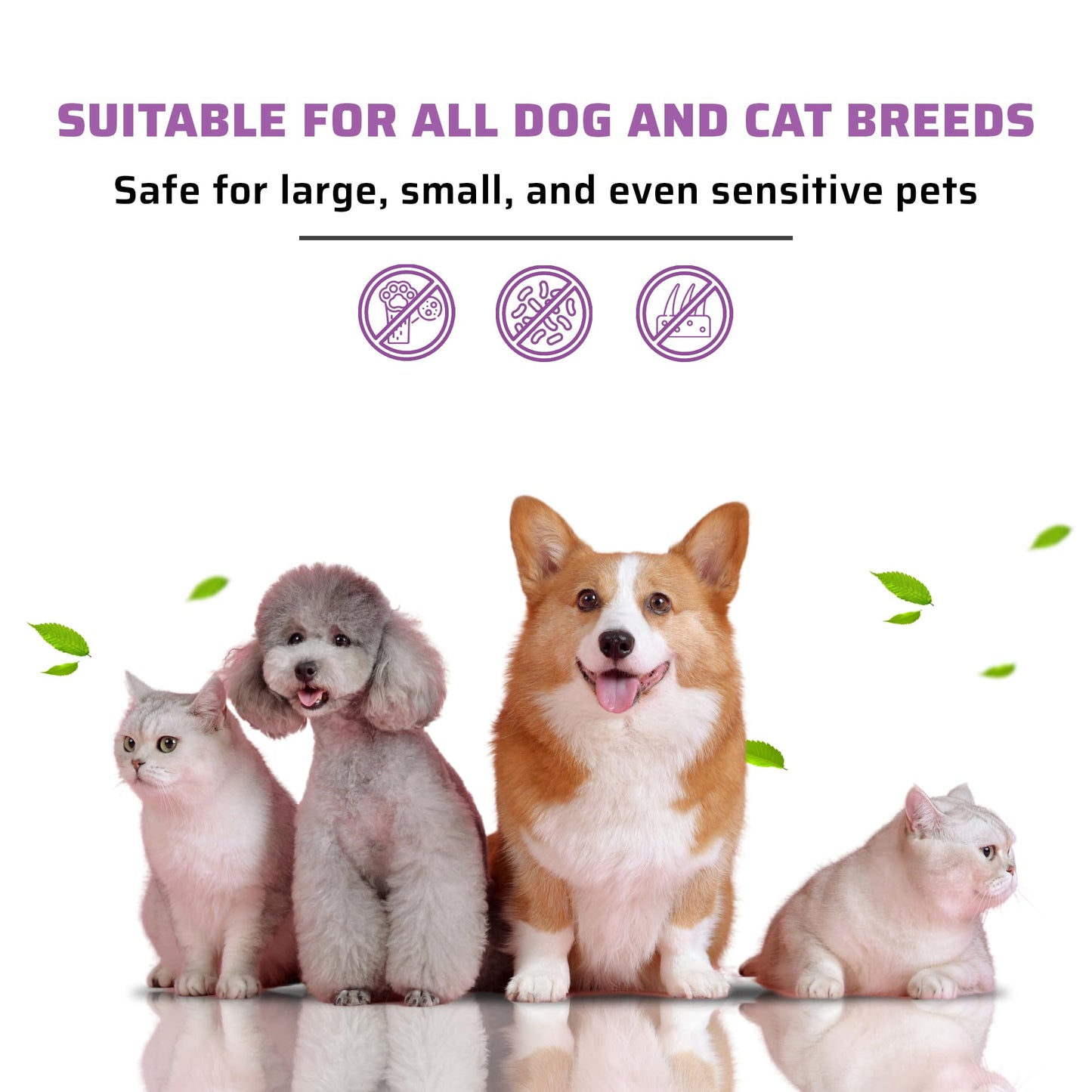 PE4U Pet Relief Spray for Dogs & Cats - Natural Perilla Leaf Extract, Safe for Sensitive Skin - Soothes Itching, Reduces Dermatitis, Protects & Refreshes - [Spray + Shampoo + GIF]