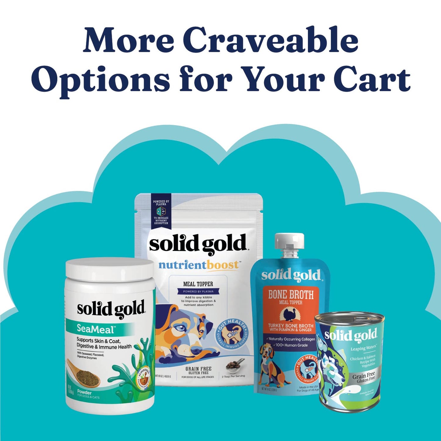 Solid Gold Sensitive Stomach Dog Food for Adult & Senior Dogs - Grain Free Healthy Dog Food w/Real Quail, Pumpkin, Fiber & Probiotics for Gut Health & Digestion - Kibble for Sensitive Stomachs - 24LB