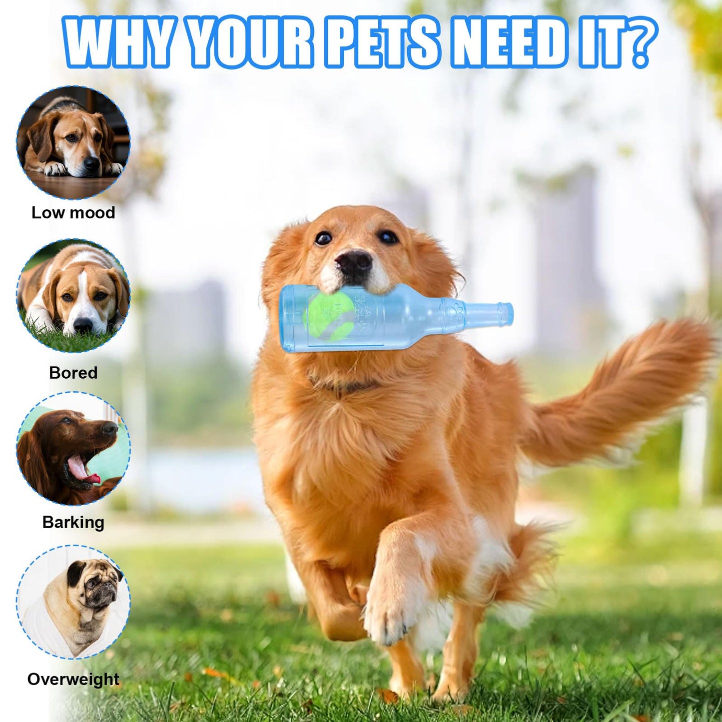 Water Bottle Dog Toy, Tennis Ball in a Bottle Dog Toy, Cute Squeaky Chew Toy for Dogs, Floating Crunchnplay Interactive Fetch Toy Bottle for Small Dogs Exercise and Accompany (Blue)