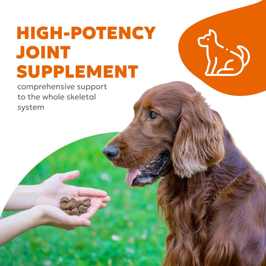 Wholesome Pet Wags Dog Hip & Joint Supplement Soft Chews – Advanced Mobility & Comfort Support – Glucosamine, Chondroitin, MSM, Turmeric, Boswellia, Collagen – 60 Count