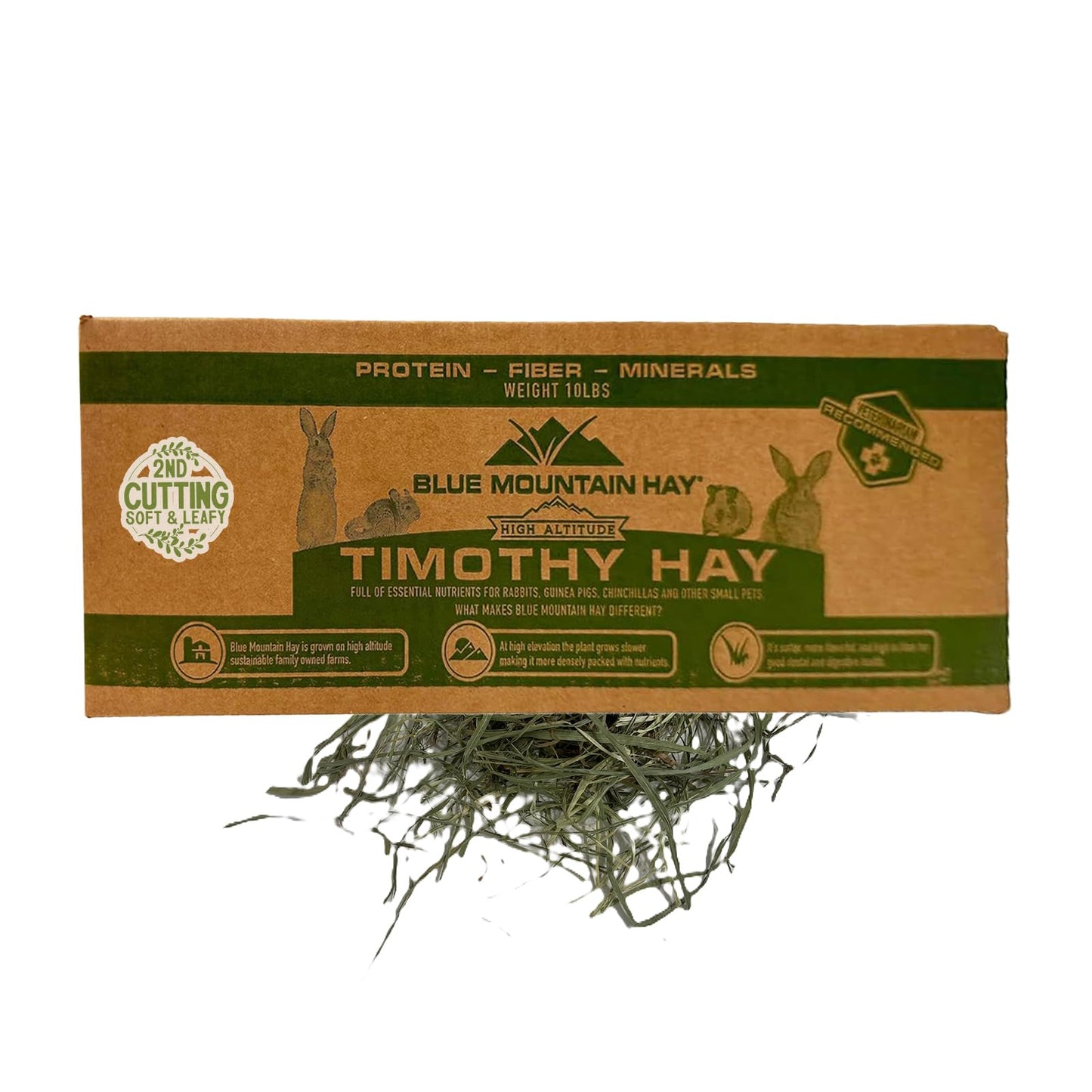Blue Mountain Hay | Fresh 2nd Cutting Timothy Grass Hay (10 Pounds) | Soft & Leafy, Balanced Nutrition | High-Altitude Hay Pet Food for Adult Rabbits, Guinea Pigs, Chinchillas, and Other Small Pets