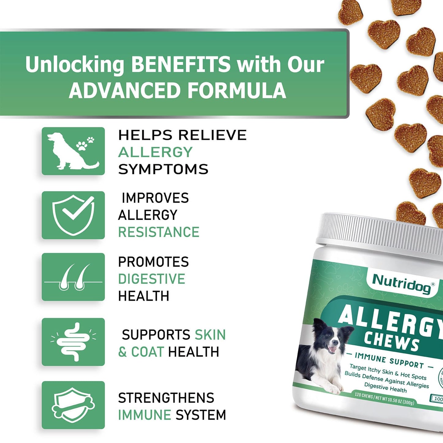 Nutridog Dog Allergy Chews 120 Count - Salmon Flavor Allergy & Itch Relief with Quercetin, 300M Probiotics | Immune Support for Itchy Skin, Hot Spots & Seasonal Allergies