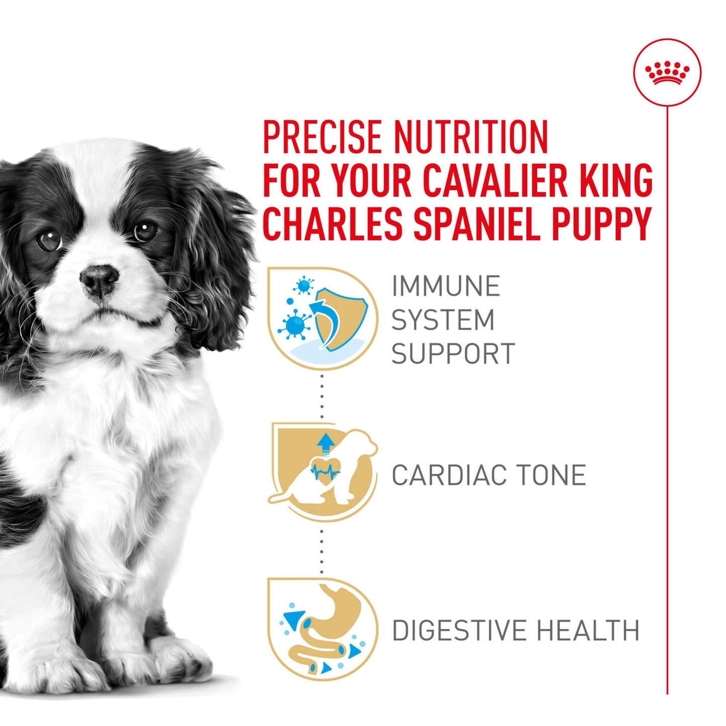 Royal Canin Breed Health Nutrition Cavalier King Charles Spaniel Puppy Dry Dog Food, 3 lb Bag