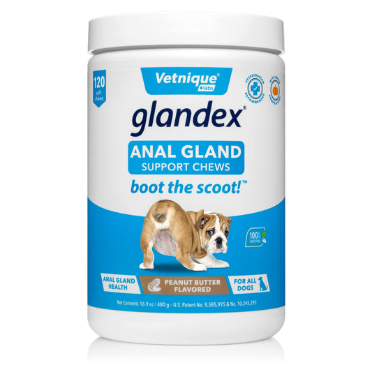 Vetnique Glandex Anal Gland Support Chews 120 Count and Dermabliss Omega & Skin Supplement for Dogs 60 Count Bundle| Peanut Butter, Savory Salmon, Probiotic for Dogs, Itch Relief