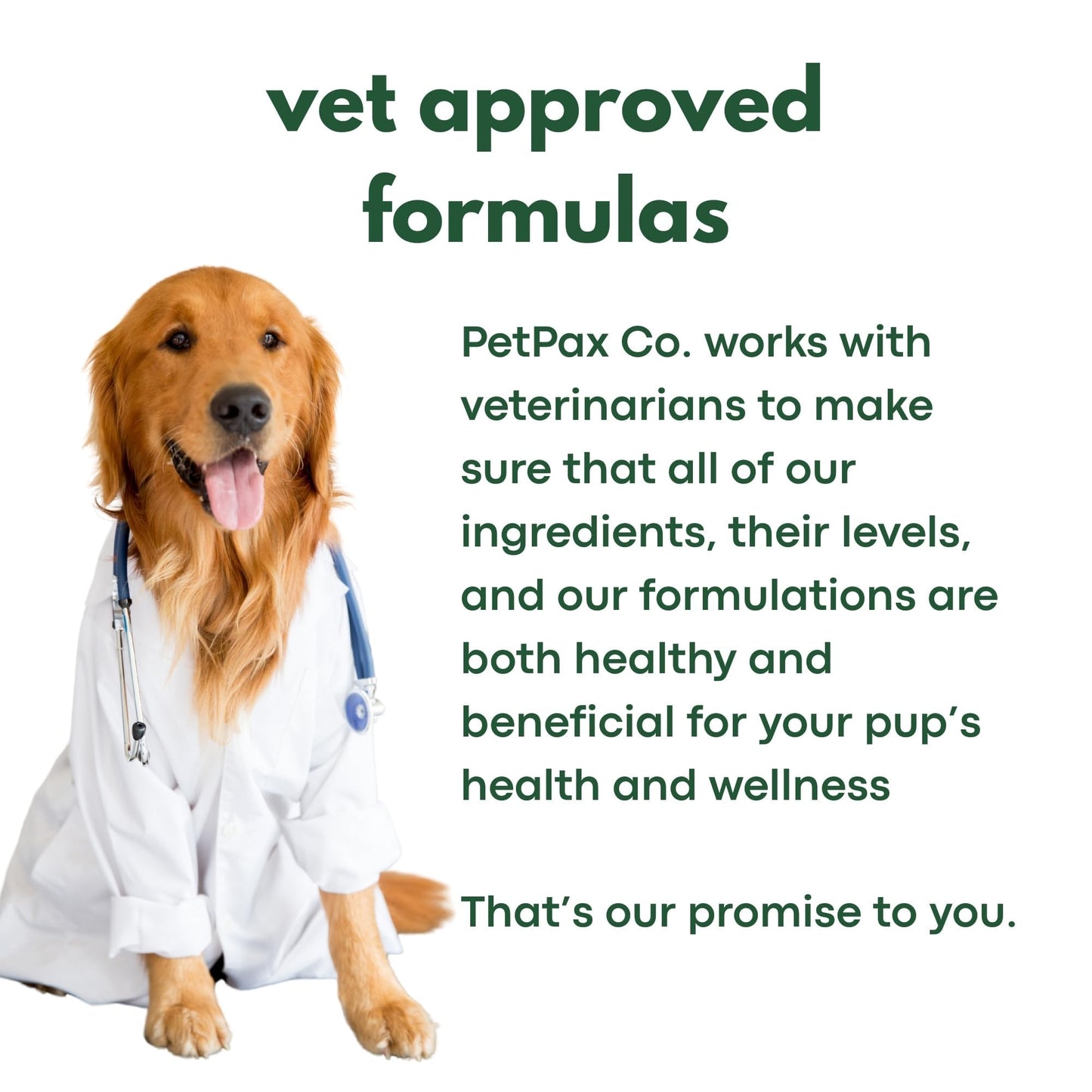 PetPax Co. ZenMelts Dogs Anxiety Relief Calming 5 Strips only - Anti Anxiety for Dogs During Fireworks, Storms & Separation - Non-Drowsy Tasty Dog 5 - Melt