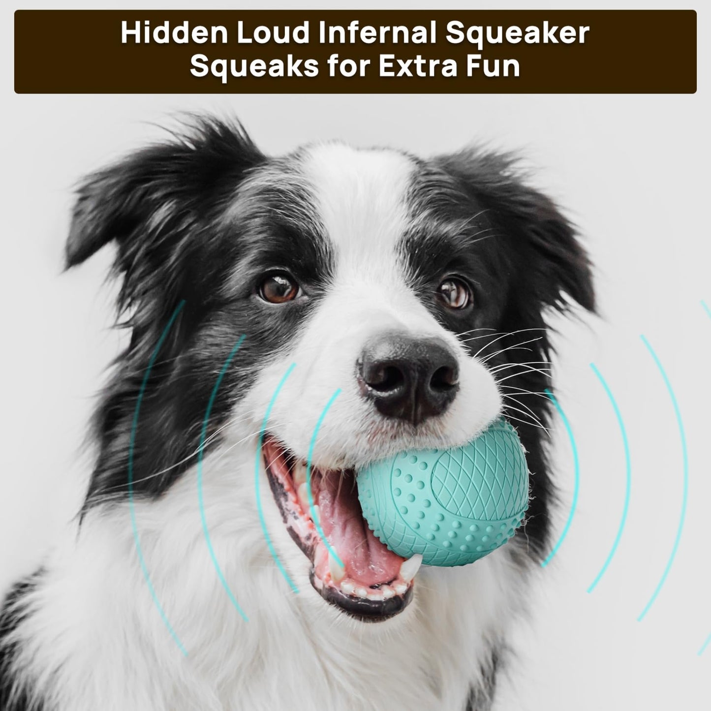 iPettie Summer Floating Dog Ball, Squeaky Water Fetch Toy, Waterproof Rubber Chew Ball, BPA Free, Colorful, 4 Sets, 2.5"