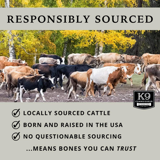 K9 Connoisseur Beef Lung Dog Training Treats All Natural & Lean, USA Made Single Ingredient, Bulk Dogs Treat, Grain Free, for All Breeds & Sizes - 8 oz