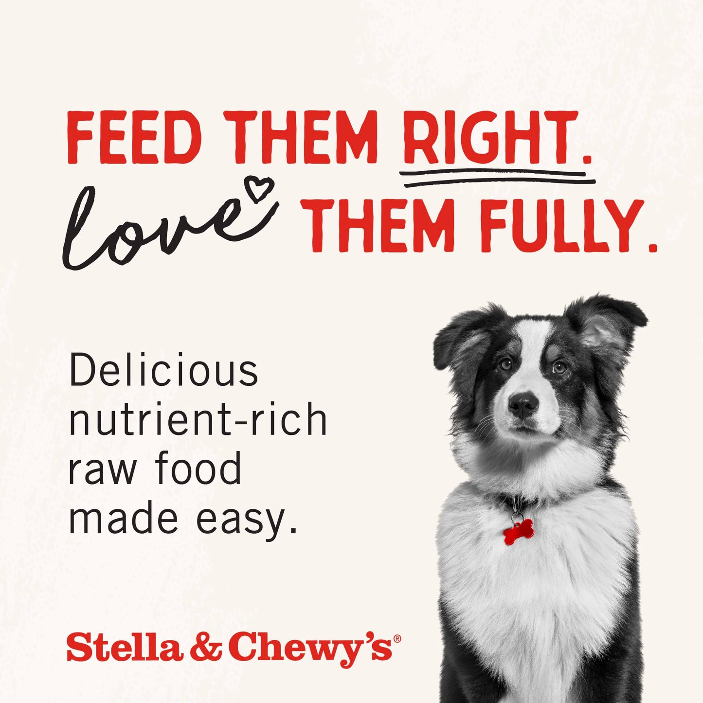 Stella & Chewy's Freeze-Dried Raw Chicken Heart Dog Treats - Single Ingredient, No Additives - Premium Training Treats - Perfect For Picky Eaters - 11oz Bag