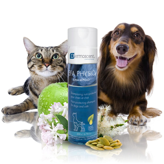 Dermoscent EFA Physio Shampoo for Dogs & Cats - Gentle Natural Ingredients for Frequent Bathing Allergies & Itchy Skin Relief - Soothes Dermatitis & Atopic Skin - 200 ml