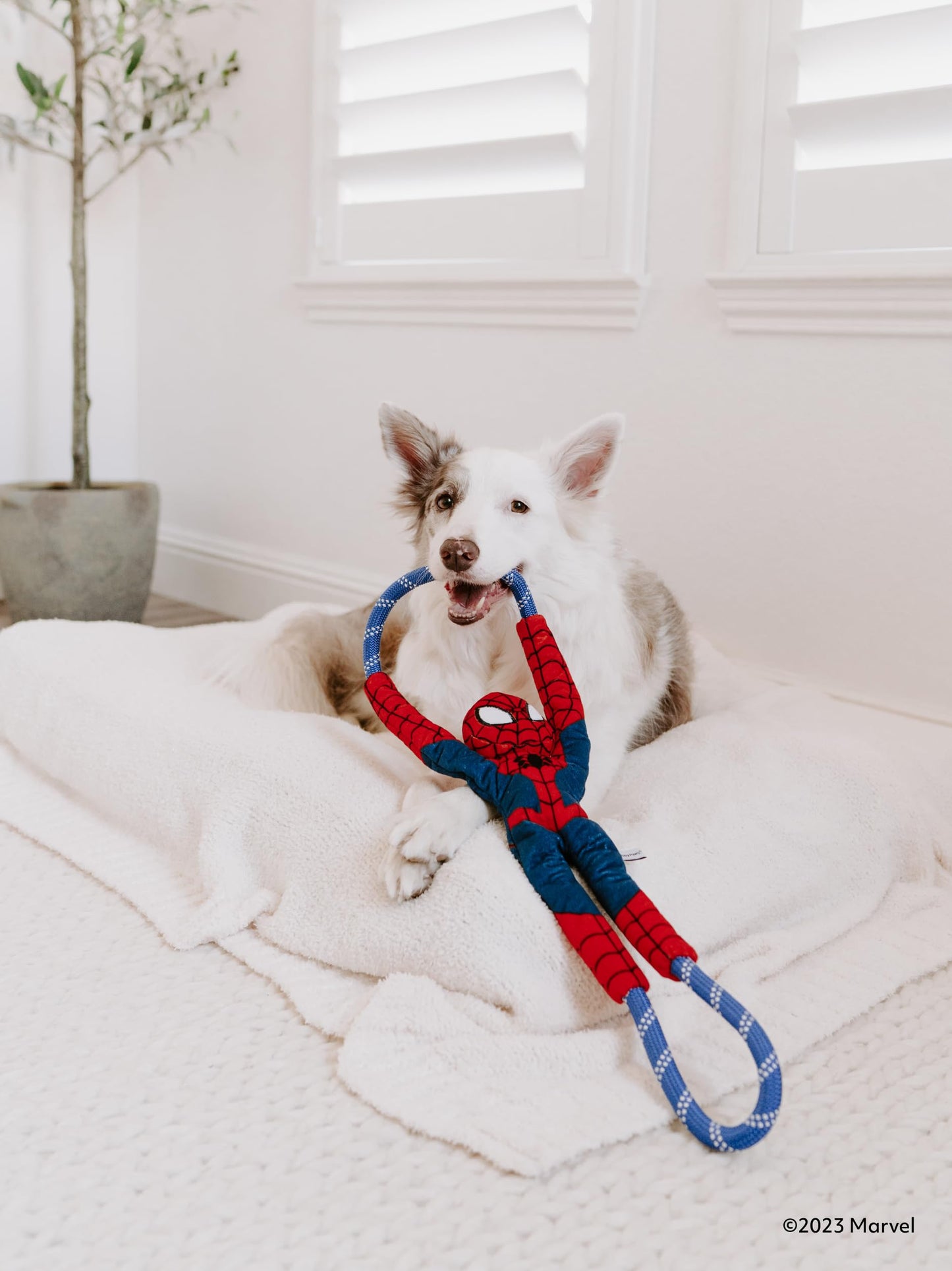 ZippyPaws Marvel RopeTugz - Durable Rope Tug of War Dog Toy, Squeaky Chew Toy for Small, Medium, & Large Breed Dogs & Puppies - Spider-Man