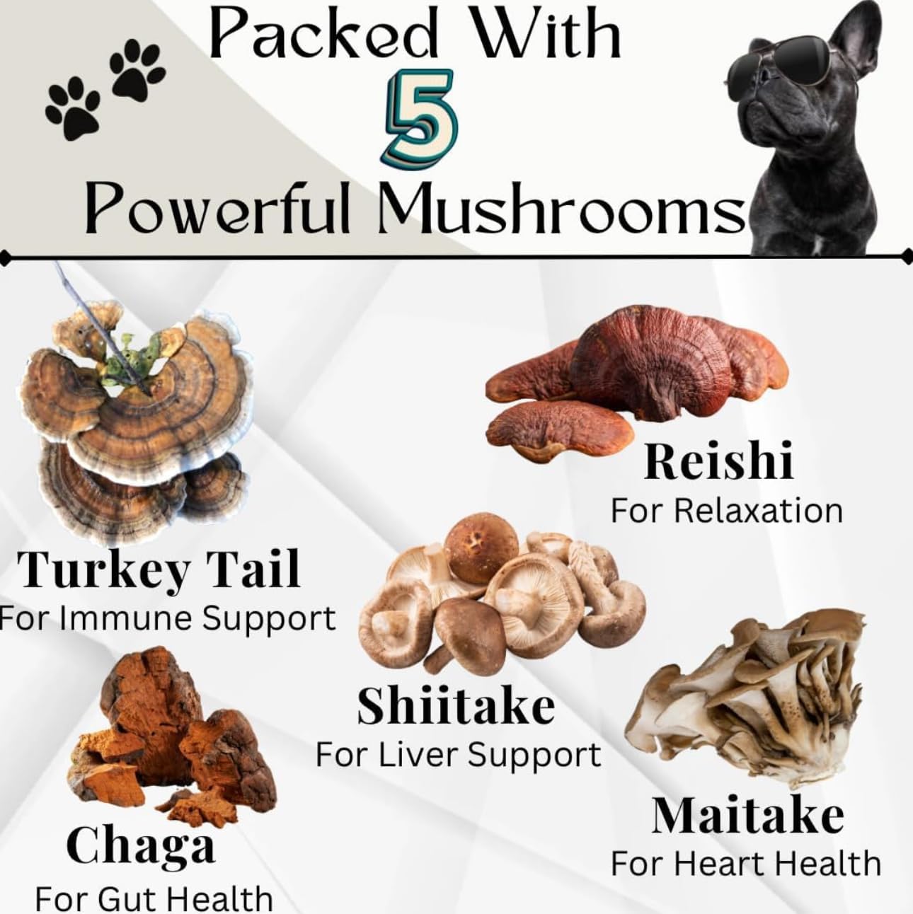 Dogs Immune Support Mushroom Supplement - Supports Longevity, Cognition, Joint, Cellular & Gut Health - All Natural Organic, GrainFree - Aid for Lumps and Bumps, Chicken Flavor - 90 Chews