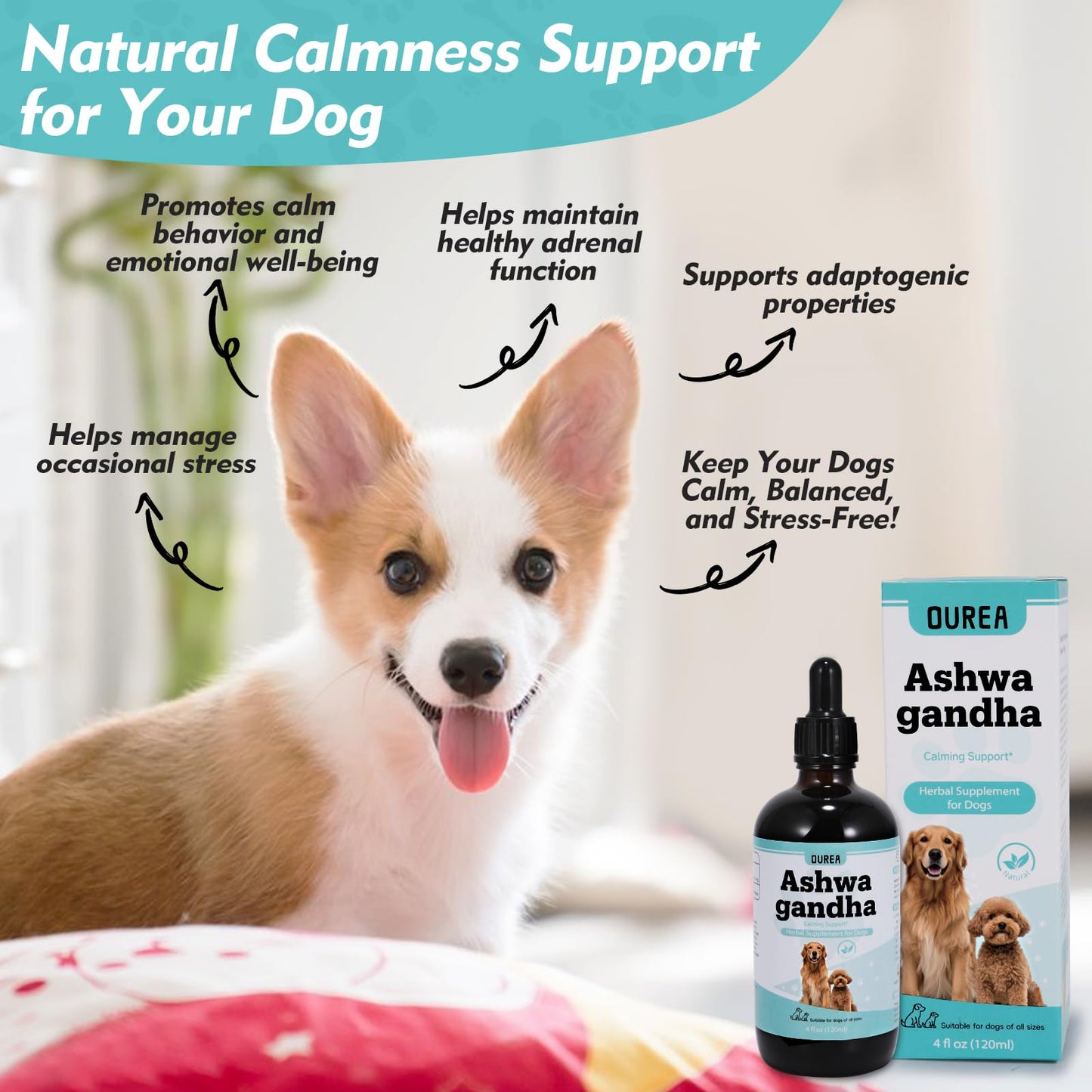 Ashwagandha Drops for Dogs, Calming Drops for Dogs with Ashwagandha Tincture, Supports Composure, Calmness, Relaxation & Emotional Balance, Dog Anxiety Relief from Fireworks, Storms, Separation & More