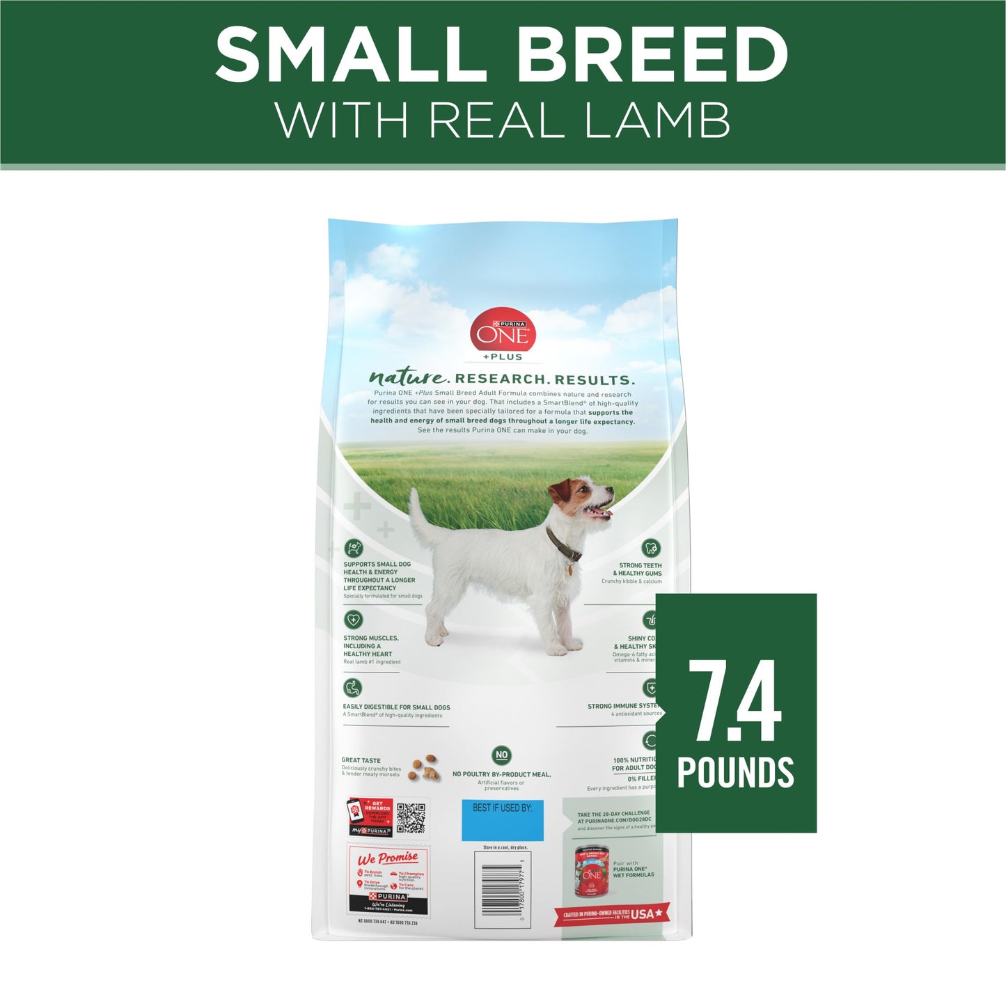 Purina ONE Plus Small Breed Lamb and Rice Formula Dry Dog Food - 7.4 lb. Bag