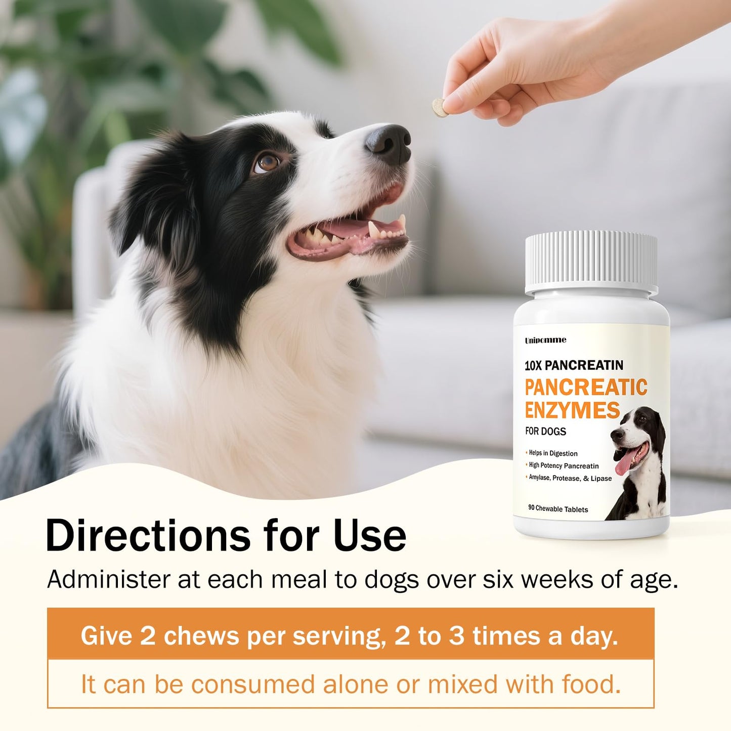 Pancreatic Enzymes for Dogs - 10x Pancreatin Formula for EPI Dog - Digestive Enzymes Tablets for Pet Pancreatic Concerns, Supports Buddy Digestive Stress, Healthy Weight Management
