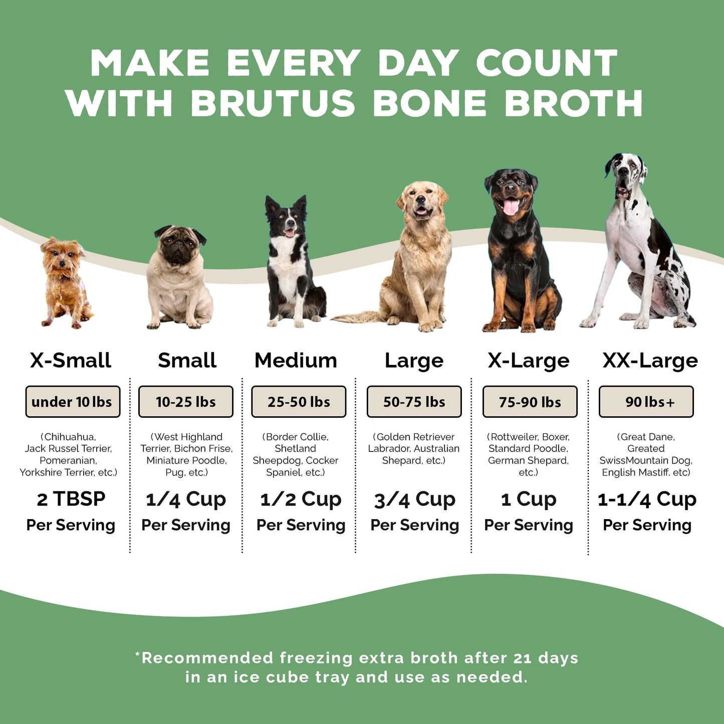 Brutus Broth Instant On The Go Vegetable Powder for Dogs - Vegetable Powder with Omegas 3, 6 & 9 & Turmeric - Human Grade Food Toppers for Dry Food & Picky Eaters - 5 Stick (Salmon Flavor)
