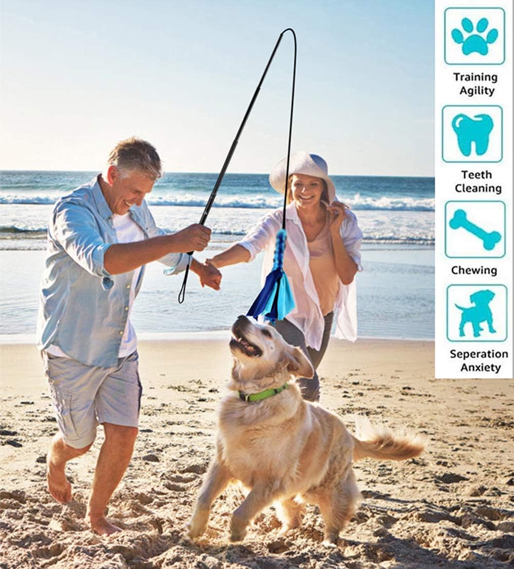 AMYESE Interactive Dog Toys - Extendable Flirt Pole with 2pcs Fleece Lure Tugs for Dog Outdoor Entertainment, Train and Exercise, New Blue