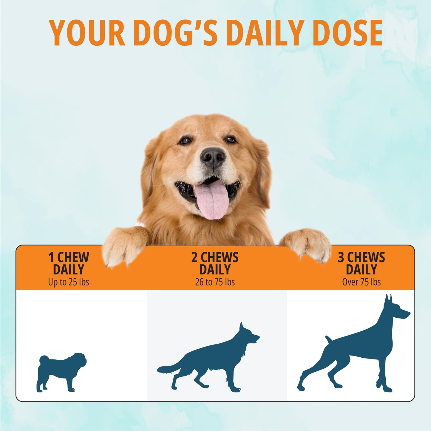 NOVEHA Dog Glucosamine Chews | Hip and Joint MSM Formula for Dogs Joint Care | Senior Pet Joint Health Supplement | Premium Glucosamine and Chondroitin for All | 2PK - 90 Soft Chews; Chicken Flavor