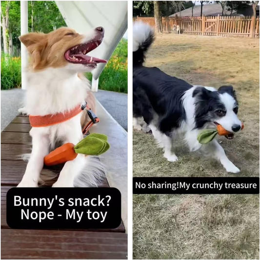 MewaJump Dog Squeaky Chew Toys for Aggressive Chewers, Rubber Carrot Dog Toys for Training and Cleaning, Durable Interactive Tough Dog Toy for Puppy Medium Dogs