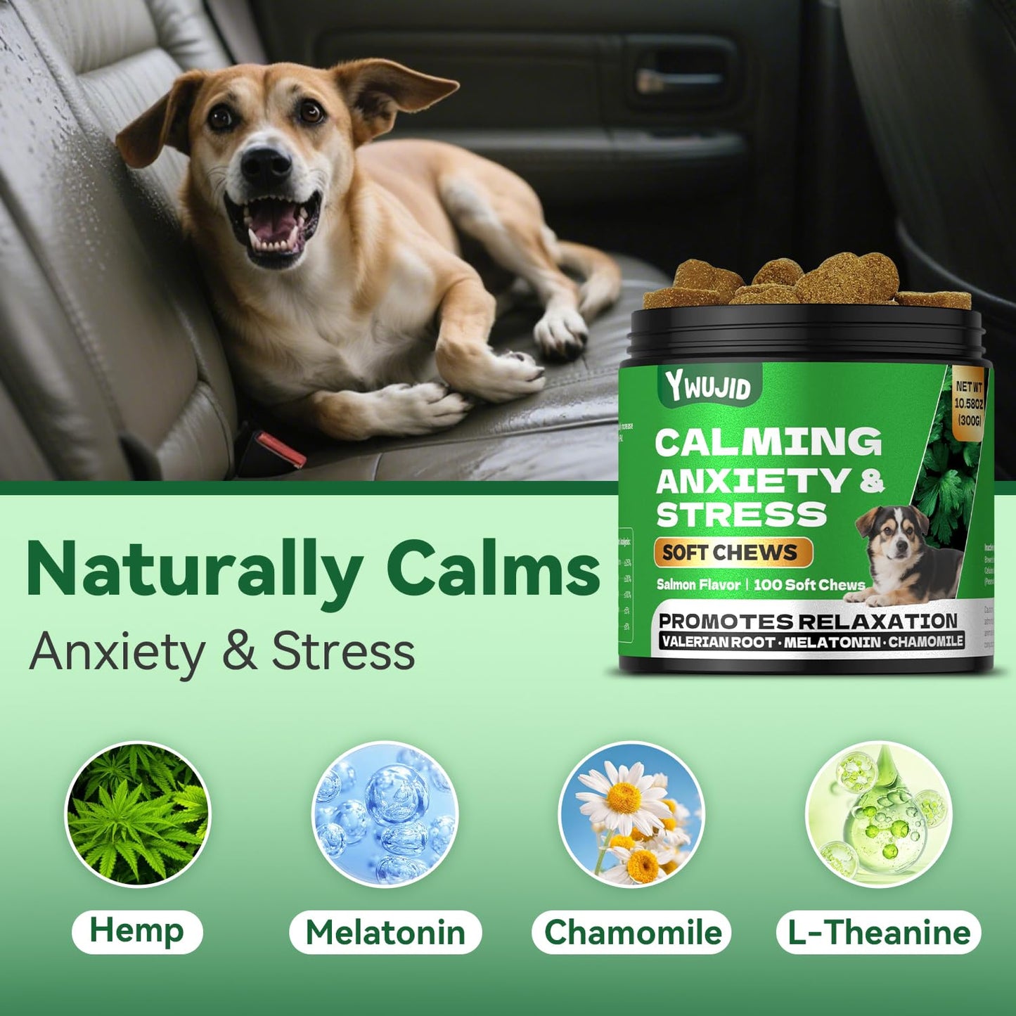 YWUJID Calming Chews for Dogs - Natural Soothing Treats for Anxiety, Stress, Travel, Thunder & Fireworks - Tasty Soft Chews for All Breeds & Sizes - 100 Count