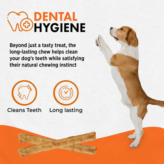 Canine Naturals Beef Chew - Rawhide Free Dog Treats - Made With Real Beef - Poultry Free Recipe - All-Natural and Easily Digestible - 10 Pack of 5 Inch Stick Chews