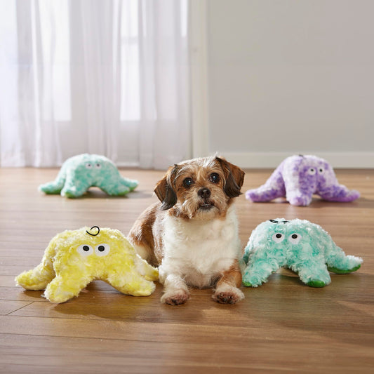 Gor Pets Plush Starfish Crinkle Dog Toy - Soft & Cuddly Squeaky Toy for Puppies, Small, Medium, and Large Dogs - Durable & Safe Puppy Toy - Perfect for Snuggling & Interactive Play - Small, Purple