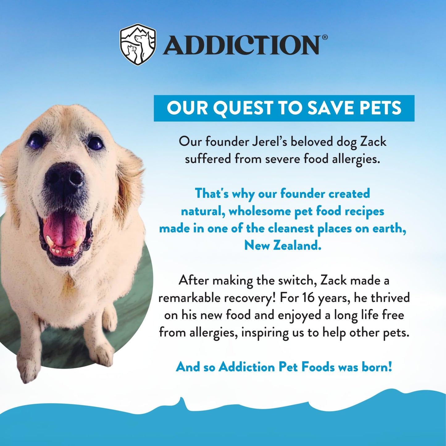 Addiction Salmon Bleu Grain-Free Dry Dog Food - Rich in Prebiotics to Support Skin, Coat & Cognitive Health - Salmon Recipe for All Dog Life Stages - Made in New Zealand 4 lb