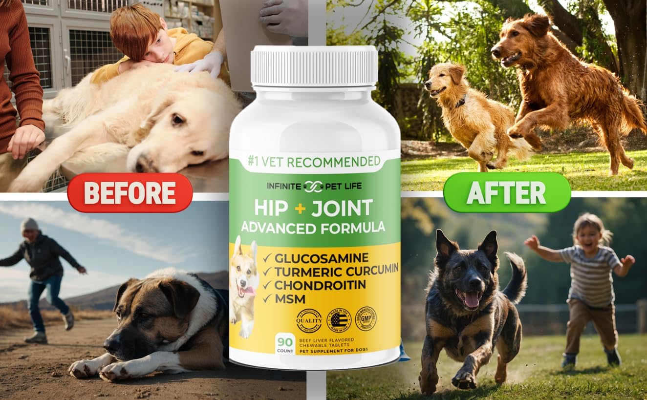 Advanced Hip and Joint Supplement for Dogs All Breeds - Glucosamine for Dogs Mobility & Pain Relief - All Natural Chondroitin, MSM & Turmeric Dog Joint Supplement - 90 Chewable Tablets