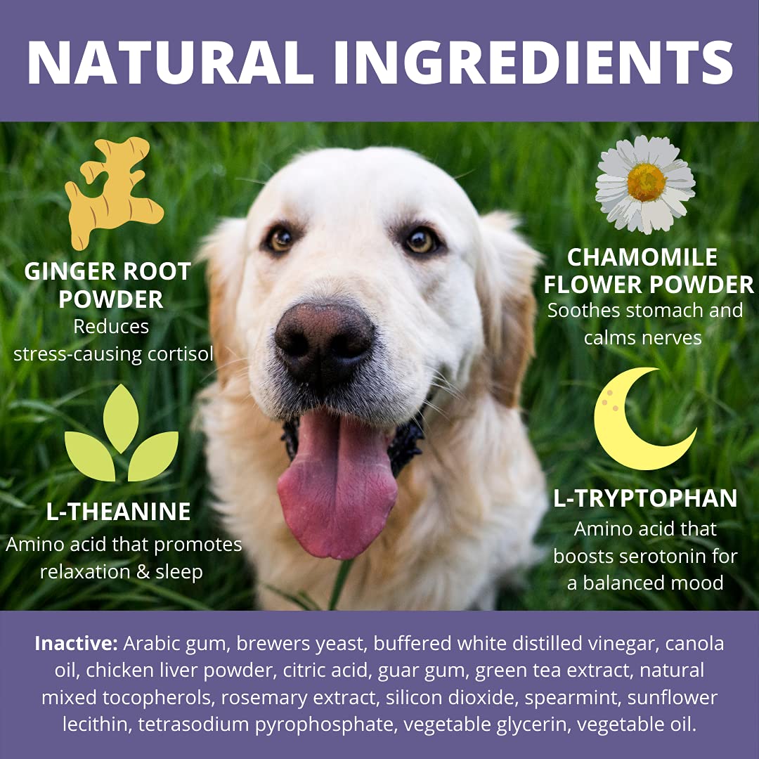 Under the Weather Pet Soft Dog Chew Supplements for Calming and Probiotics | Supports Relaxation and Normal Emotional Balance in Dogs (Calming, 60 Count)