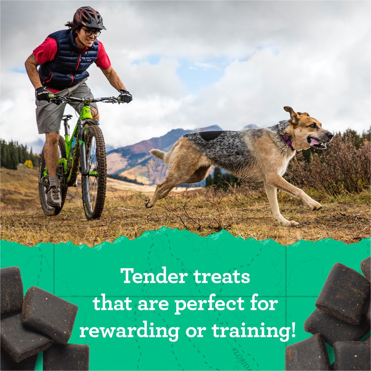 Zuke's Hip and Joint Support Dog Treats for Adult Dogs, Senior Dog Treats Made with Real Peanut Butter and Oats, 6 oz. Resealable Pouch - 6 oz. Bag