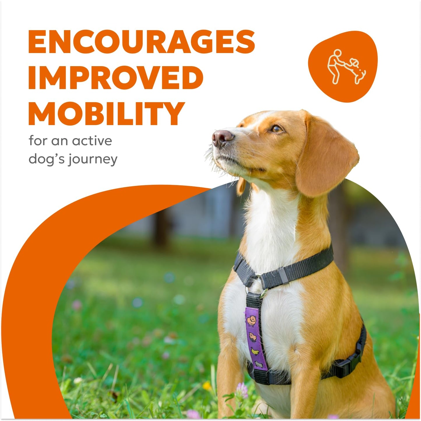 Wholesome Pet Wags Dog Hip & Joint Supplement Soft Chews – Advanced Mobility & Comfort Support – Glucosamine, Chondroitin, MSM, Turmeric, Boswellia, Collagen – 60 Count