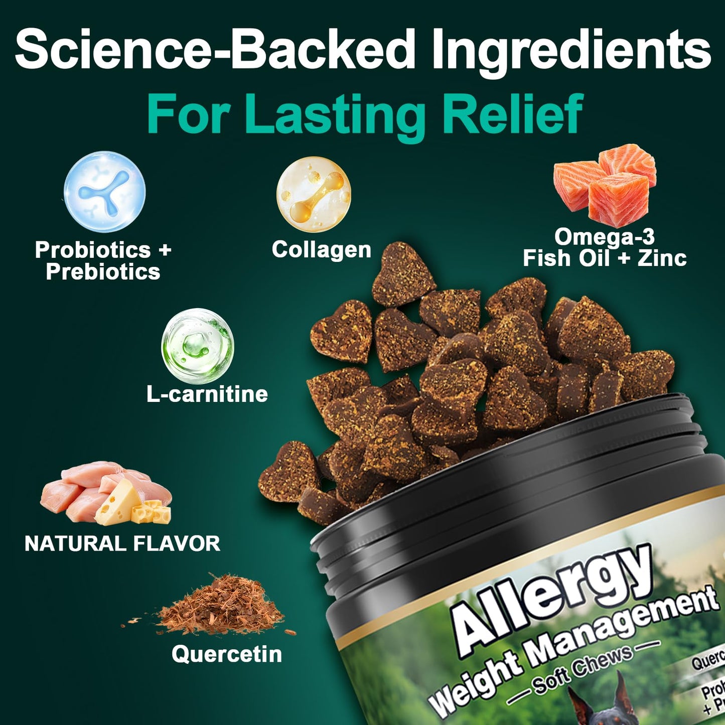 Dog Allergy Relief Chews Itching Skin is Human Multivitamin Pet Allergy Anti Itch Paw Relief and Immune Dog Chews Bites Antihistamine for Dogs Itching and Licking Weight Loss Management Support 200