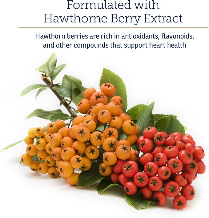 Rx Vitamins Formula CV - Hawthorn Berry Capsules with Taurine for Dogs & Cats - Heart Health Supplements Enhanced with Magnesium and Potassium - Senior Dog Vitamins and Senior Cat Vitamins - 90ct