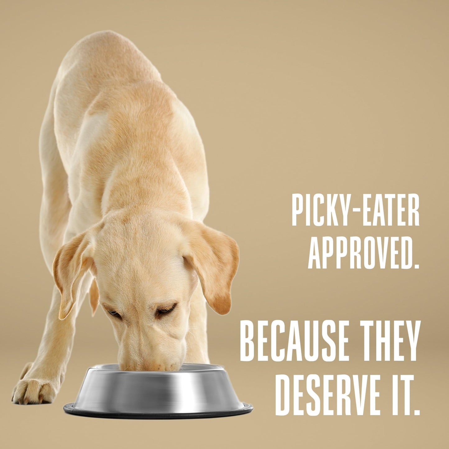 Whole Life Dog Healthy Gut Daily Dog Supplements, Human Grade Probiotics for Constipation Relief, Anti-Diarrhea, Vomit Remedy & Digestive Support, Health Supplies - 90 Servings