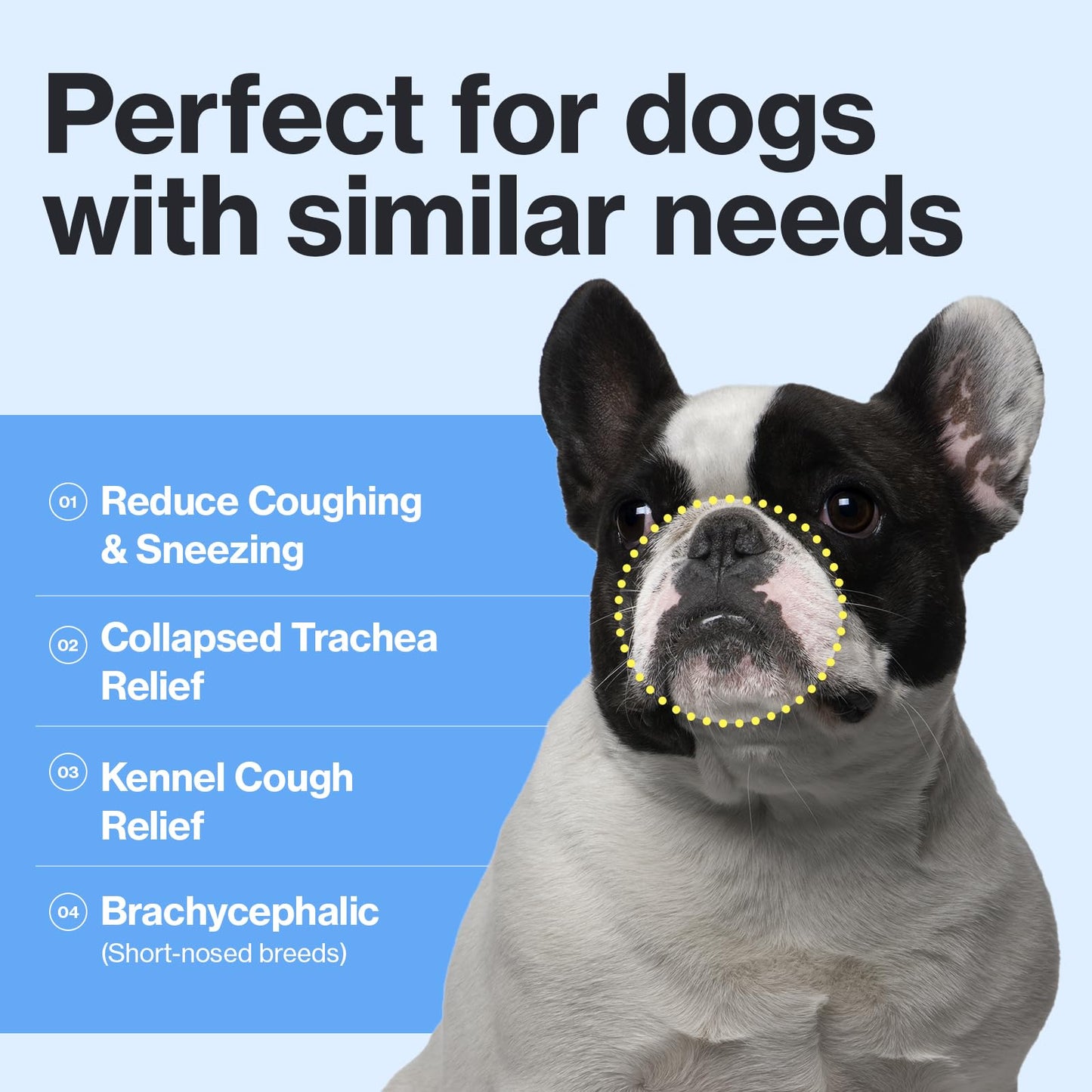 Doctor By Breath Bronchial Supplements for Dogs - Dog Cough Relief - for Dry, Wet & Barkly Pet Cough (8.5 Ounce (Pack of 1))