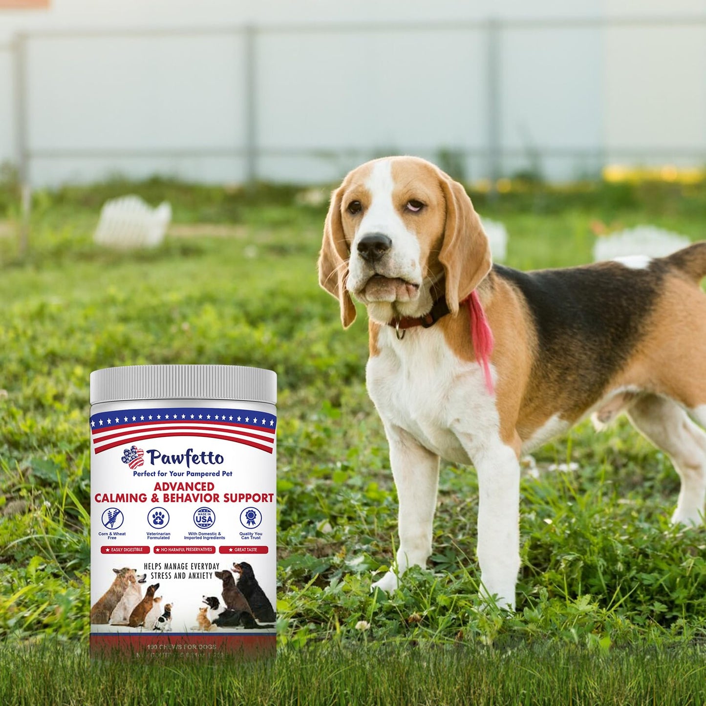 Pawfetto Advanced Calming & Behavior Support for Dogs, Stress and Anxiety Relief Treats, Thiamine, L-Tryptophan & L-Theanine, Help Relieve Stress from Separation, Storms, Fireworks & Travel, 100Ct