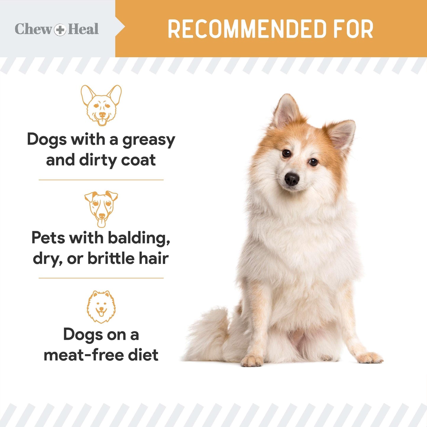 Chew + Heal Labs Omega Soft Wild Caught Alaskan Salmon Jerky 12oz - Natural Salmon Jerky Dog Training Treats for Skin & Coat - Soft Dog Chews with Flaxseed & Oat Flour - Made in USA