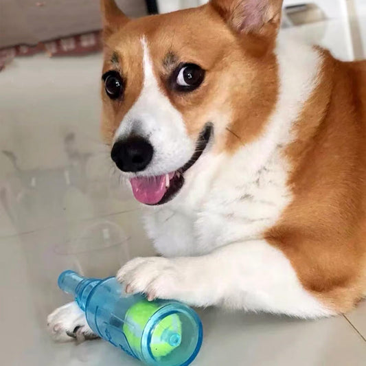 Tasmegol Pet Chew Beer Bottle with Tennis Ball Crunchnplay Water Bottle Squeaky Dog Toys for Aggressive Chewers
