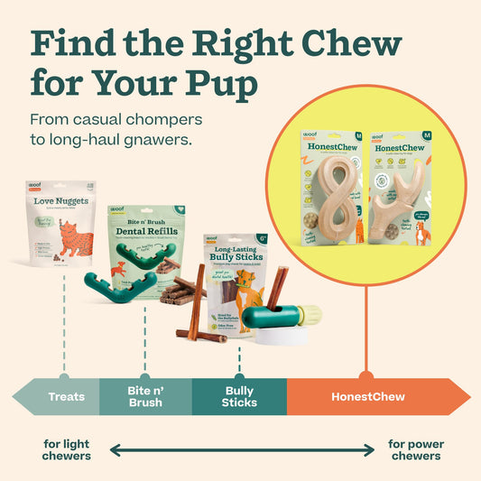 Nocciola Funny Big Dog Toys for Large Meidum Dogs, Squeaky Entertainment Stuffed Toys for Boredom, Anxiety Relief, Mentally Stimulating, Plush Dog Toys to Keep Busy and Occupied