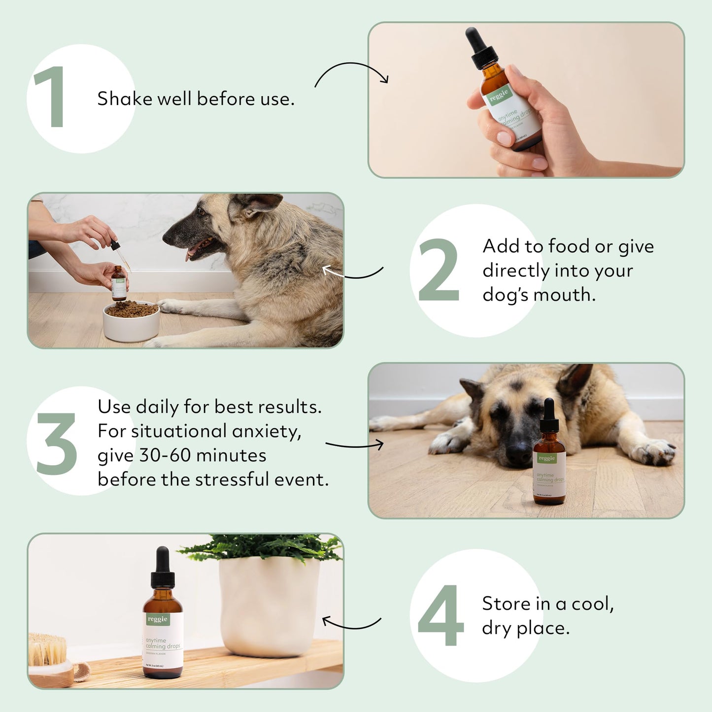 Reggie Anytime Calming Drops for Dogs | Natural Calming Tincture to Reduce Hyperactivity, Separation Anxiety, & Stress | Vet-Approved & Ideal for All Ages, Breeds, and Sizes - Chicken Flavor