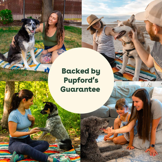 Pupford Super Pup 3-in-1 Daily Supplement, Support Your Pup's Skin & Coat, Joint and Gut Health, No Artificial Flavors or Colors, Chicken Flavor, New Wt 60g