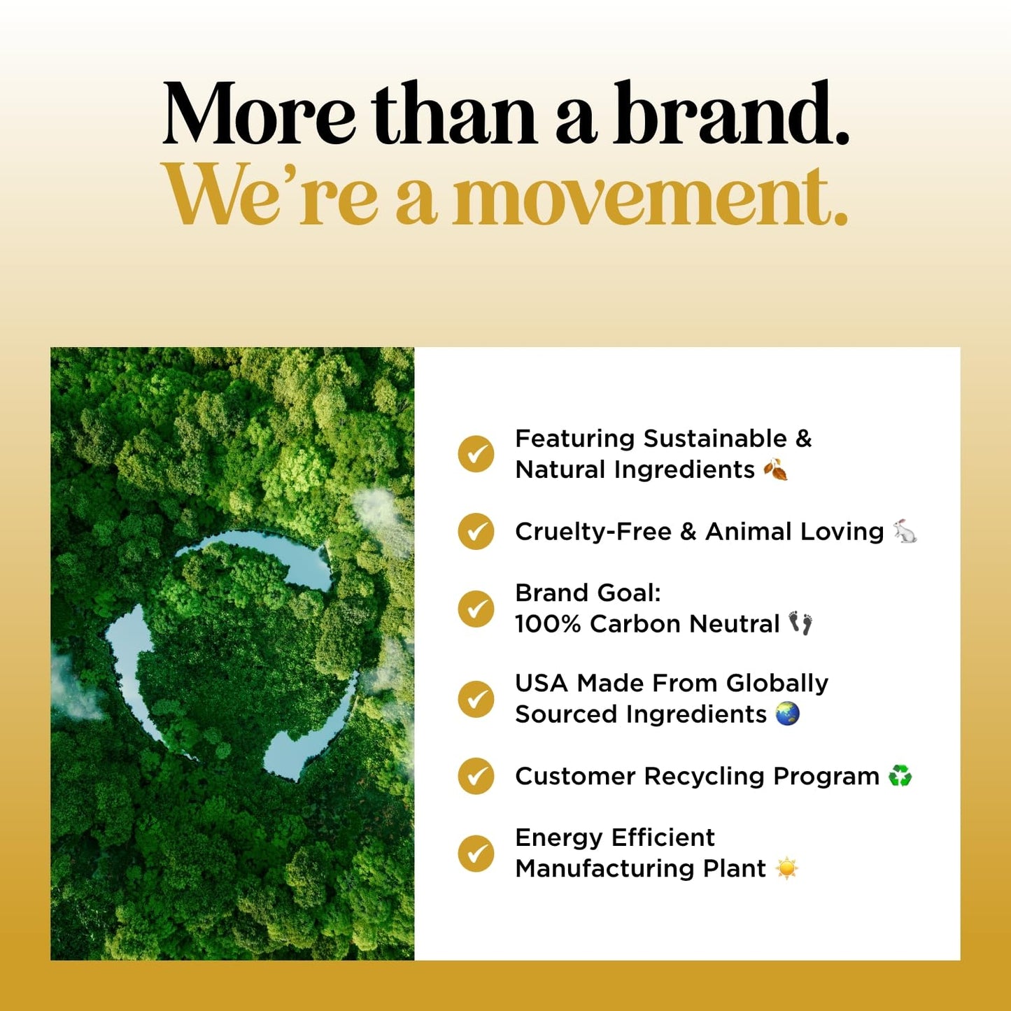 Soothing Oatmeal Shampoo for Dogs - Cleansing and Moisturizing Aloe & Oatmeal Dog Shampoo for Smelly Dogs of all Ages & Breeds - Gentle Sulfate and Paraben Free Dog Wash Made in USA (Sweet Cherry)