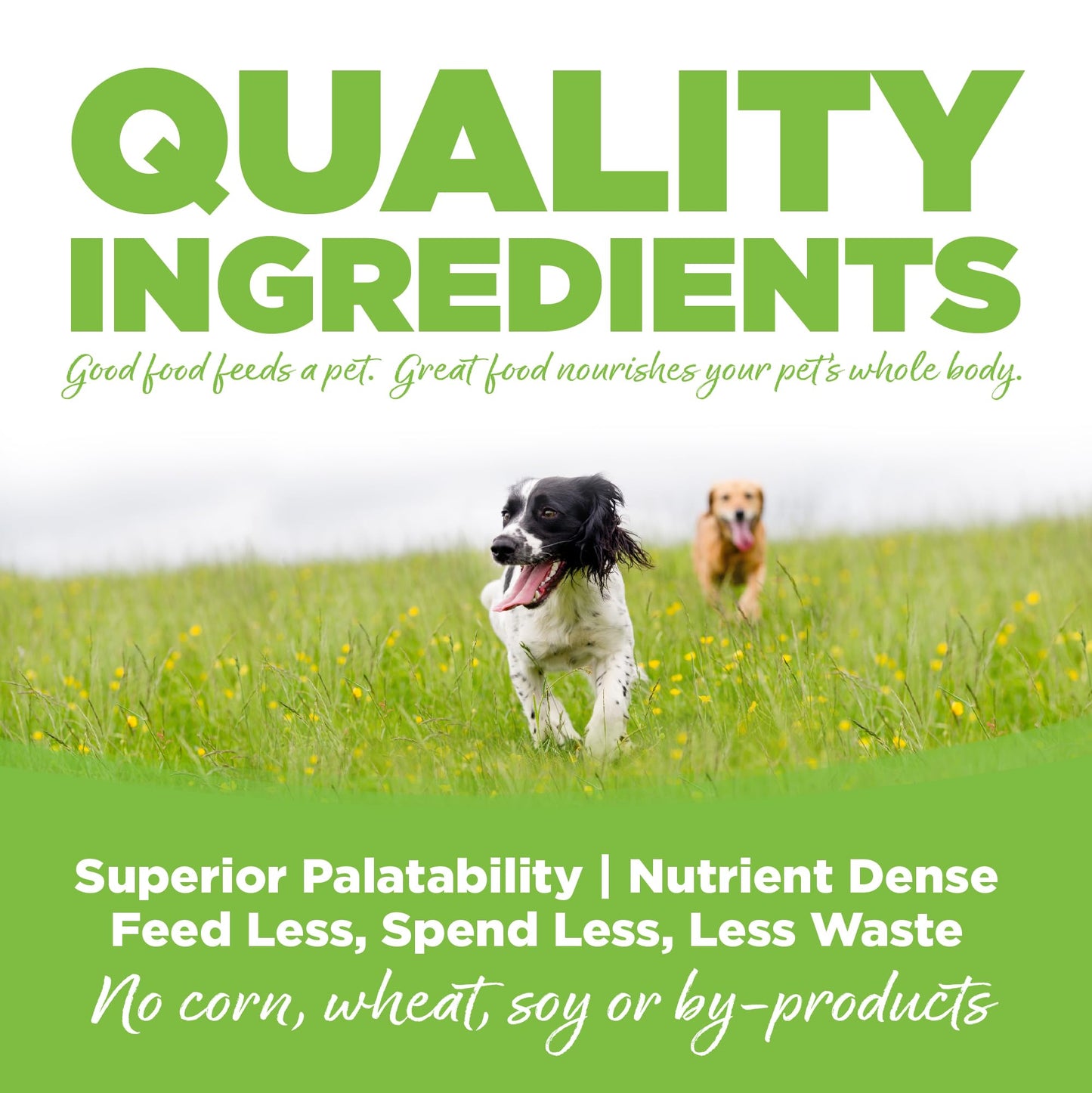 NutriSource Weight Management Dry Dog Food, Chicken and Chicken Meal, 4LB