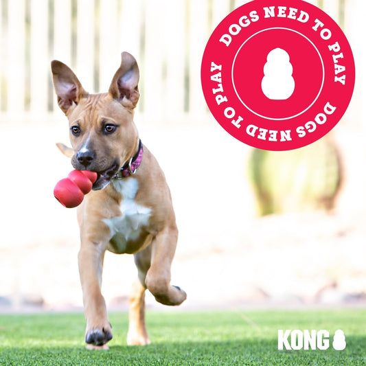 KONG Ring & Goodie Ribbon - Durable Rubber Treat-Dispensing Chew Toy for Dental Health - for Large Dogs