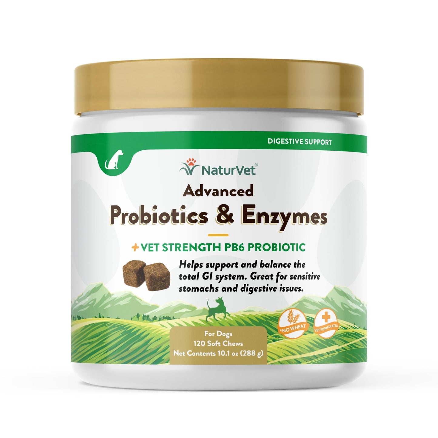 NaturVet Advanced Probiotics & Enzymes, PB6 Dog Soft Chews to Help Sensitive Stomachs and Digestive Issues, Hickory Smoked Bacon Flavored Pet Supplement for Dogs Over 6 Weeks, 120 Count Jar