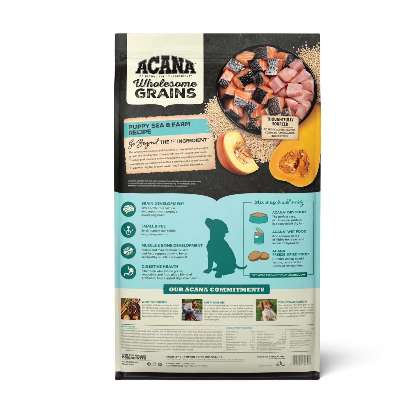 ACANA Wholesome Grains Dry Dog Food Puppy Sea & Farm Recipe 22.5lb Bag