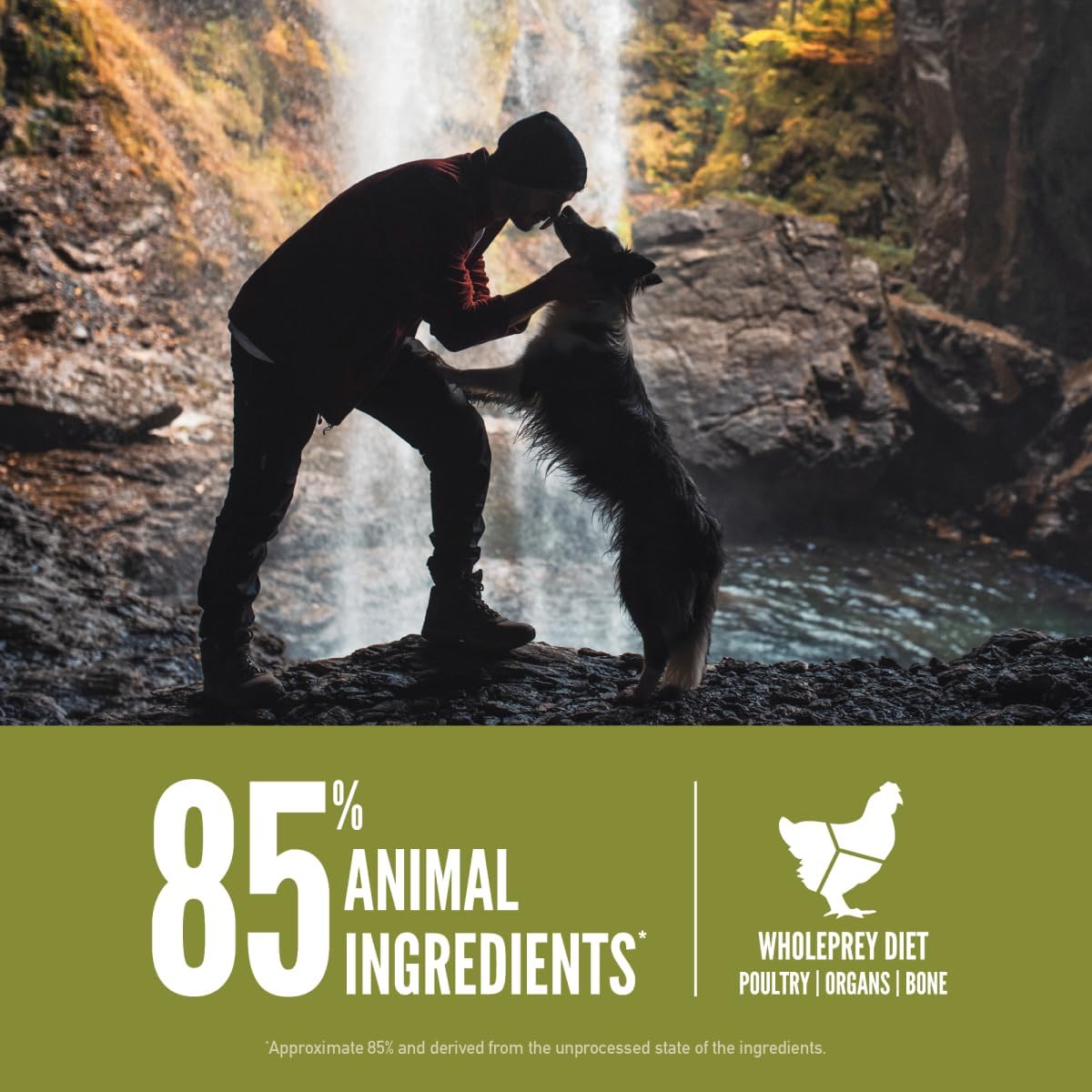 ORIJEN Grain Free High Protein Dry Dog Food Senior Recipe 23.5lb Bag