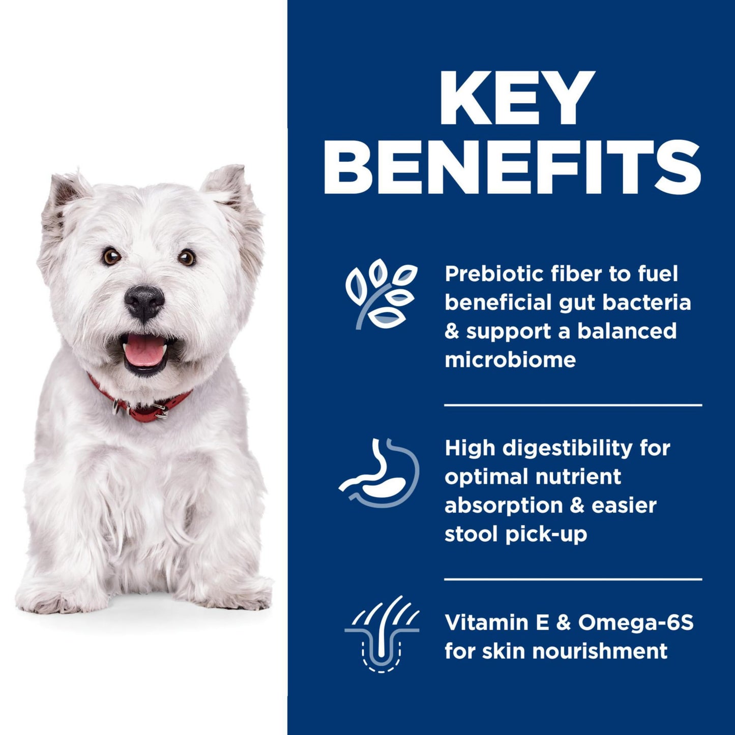 Hill's Science Diet Sensitive Stomach & Skin, Adult 1-6, Stomach & Skin Sensitivity Support, Small Kibble, Dry Dog Food, Chicken Recipe, 4 lb Bag